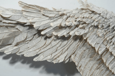 Screen Shot 2016-12-21 at 10.03.28 AM.png